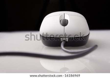 Mouse on reflective gray surface