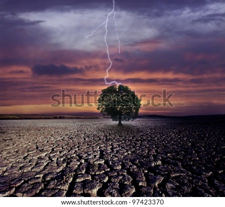 Cracked land and the lightning strikes on the single tree