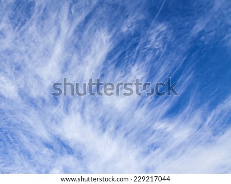 The bright blue sky with white clouds in the sunny day