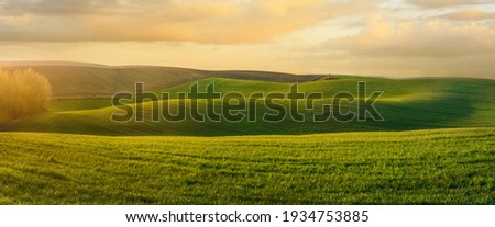 Image, Stock Photo Beautiful green field. Winter cereal and blue, cloudy autumn sky