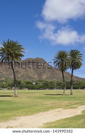 diamond head with unique palm trees in front, from kapiolani park