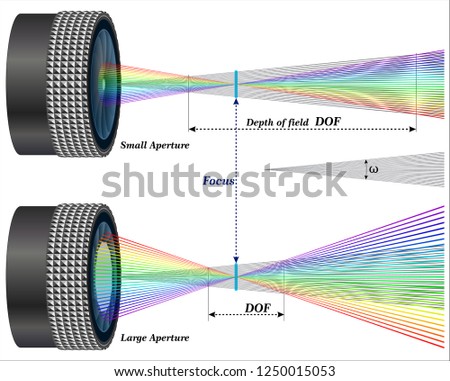 Aperture Affect Depth Of Field in Photography
