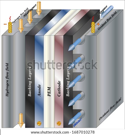 Hydrogen and Oxygen Fuel cell