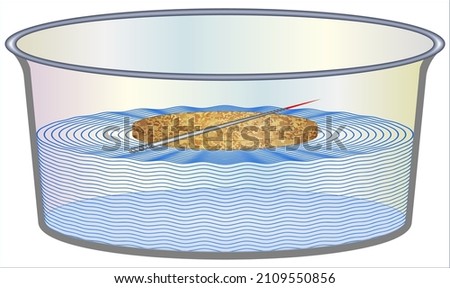 Floating Magnetic Compass, Floating Safari,
(Holding the needle in one hand, magnetize it by friction on the magnet)