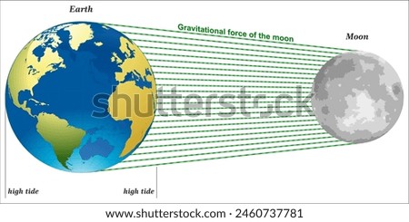 Gravitational force of the moon.