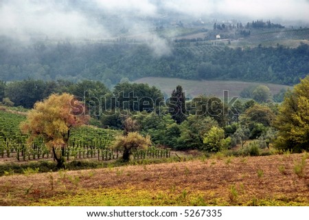 Tuscan hills in Autumn with mist