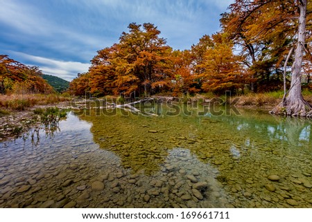The Crystal Clear Stone Lined Frio River Surrounded by Beautiful Fall Foliage, Texas.