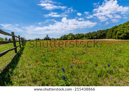 A Wide Angle View of Texas Field with Wooden Fence and a Variety of Texas Wildflowers.