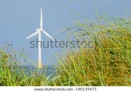 A view of a sea wind turbine generator through green grass
