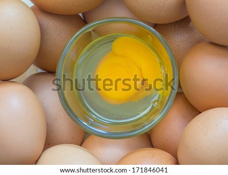 Chicken brown eggs and egg white and yolk