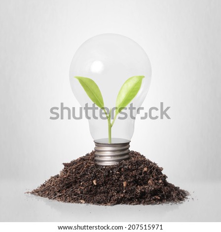 ideas, energy saving light bulb