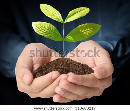 Close up man hands holding plant