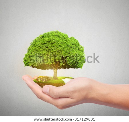 Businessman holding tree sprouting