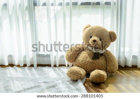 Little bear doll sitting on the floor