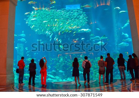 Dubai UAE 28/2/2014:The largest Aquarium in the world in Atlantis Hotel