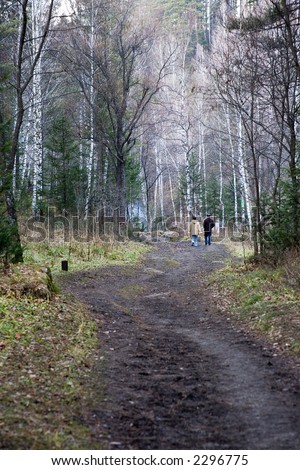 Footpath in the forest. Health-resort Belokurikha, November 2006