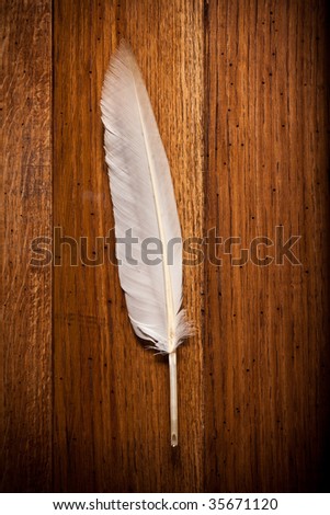 feather on a background of the empty table