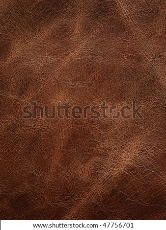 Close up view of Leather texture.