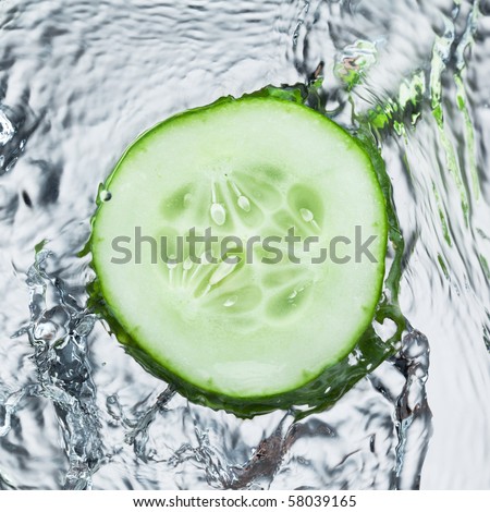 cucumber in spray of water. Juicy cucumber with splash on background
