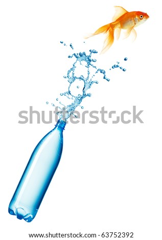 Gold Fish Escape From Bottle Isolated On White Stock Photo 63752392 ...