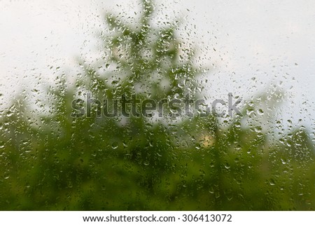 Summer rain droplets on window close-up