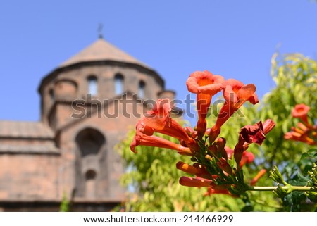Chinese Trumpet Vine on blurry Saint Hripsime Church background