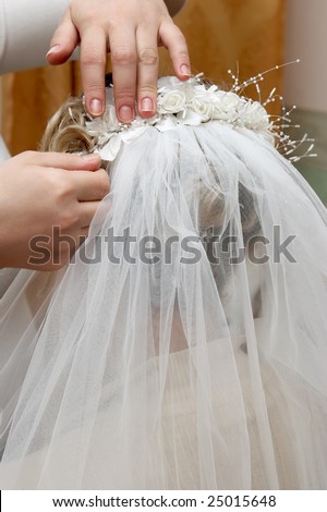 The visagiste dresses to the bride a veil