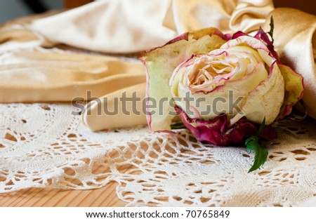 withered rose on an ancient manual lace and gloves.