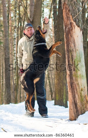 Photo of man holding stick over jumping dog
