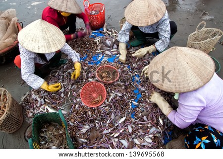 NAMDINH, VIETNAM - APRIL 21: A group of unidentified fishers sort out their catch on the shore and sell fish to dealers on APRIL 21, 2013 in NamDinh,Vietnam. Fishing is a traditional craft in Vietnam