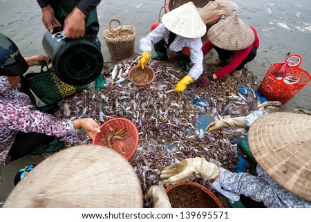 NAMDINH, VIETNAM - APRIL 21: A group of unidentified fishers sort out their catch on the shore and sell fish to dealers on APRIL 21, 2013 in NamDinh,Vietnam. Fishing is a traditional craft in Vietnam