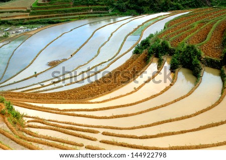 Terraced rice fields. Terraced rice fields with water in Mu Cang Chai, Vietnam