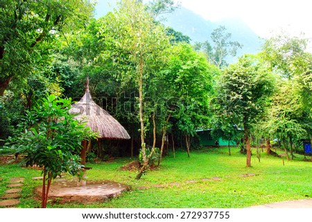 Phong Nha primary forest and home base in the forest