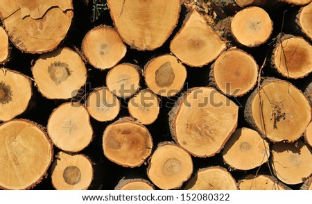 log pile of oak lumber makes a lumber industry background