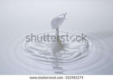 A small milk drop fall on milk surface and bounce back, colliding with the second one to form a beautiful straw-hat shaped splash.