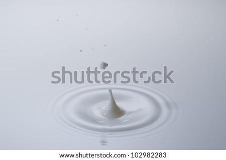 A small milk drop fall on milk surface and bounce back, forming a beautiful splash.
