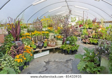 Green House Filled with Plants and Herbs