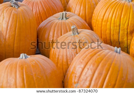 Pumpkins in an Open Air Market