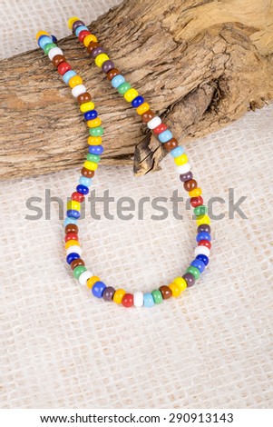 Colorful Necklace Made with Small Plastic Beads Displayed on a Dead Tree Branch