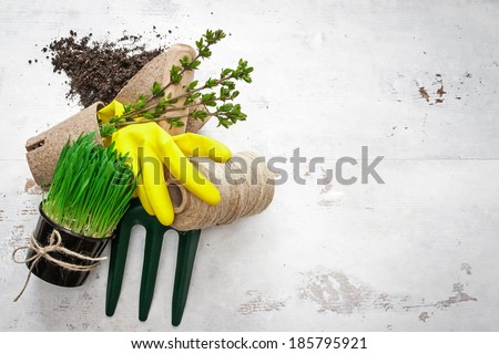 Tools for spring gardening on white woods