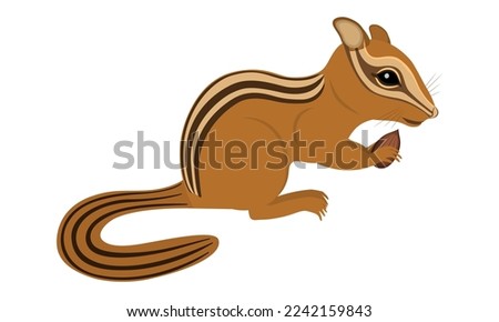 Vector illustration of an animal chipmunk with a nut.