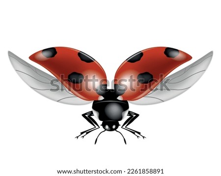 Vector illustration of a ladybug taking off.
