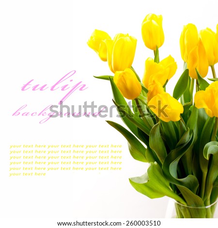 beautiful bouquet of yellow tulips on a white background
