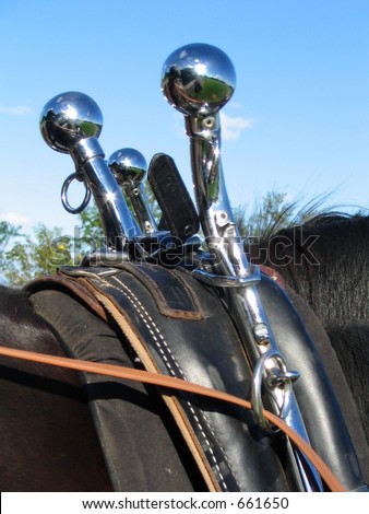 horse's harness with double metal horns used for pulling a wagon