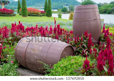wine barrels in flower field near the grape yard vineyard