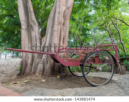 vintage cart for carrying flowers and many things in garden under the big old tree