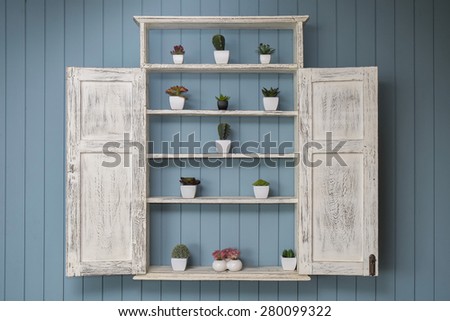 vintage shelf with little cactus plants in pots on wall
