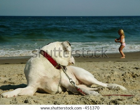 Dog Watching Girl at Beach