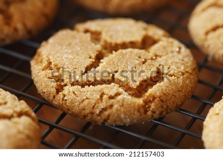 A ginger snap on a cooling rack