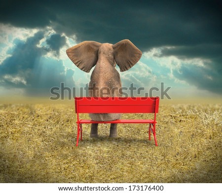 Elephant sitting on a bench